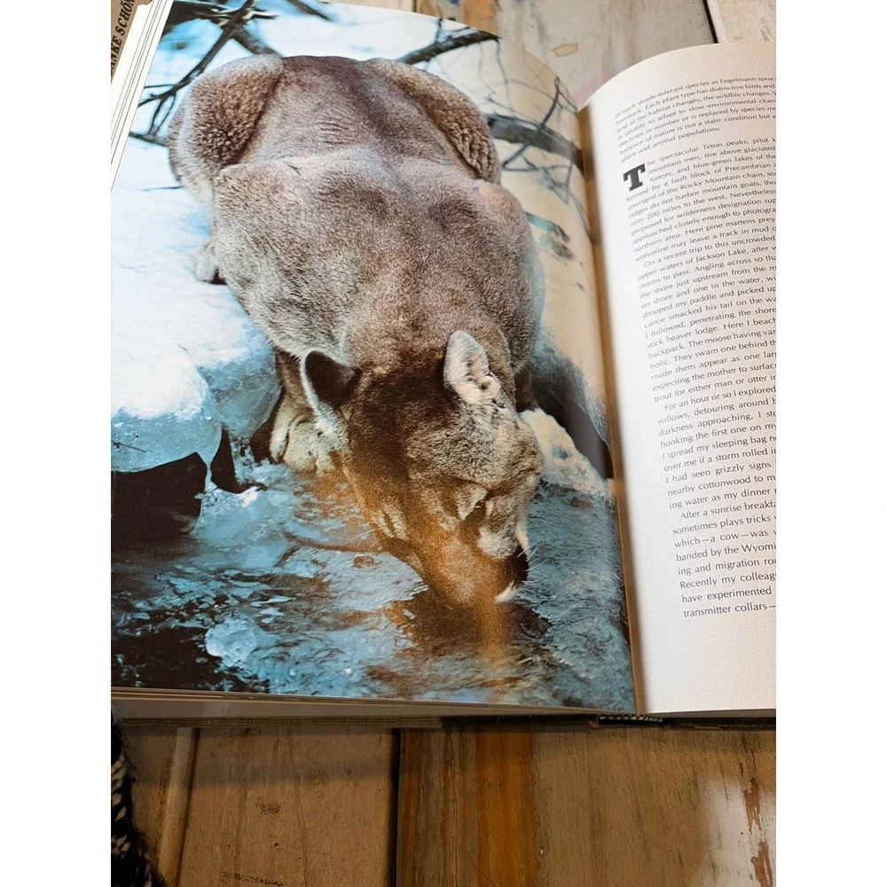 Wilderness U.S.A. National Geographic Society 1973 First Printing Vintage HC